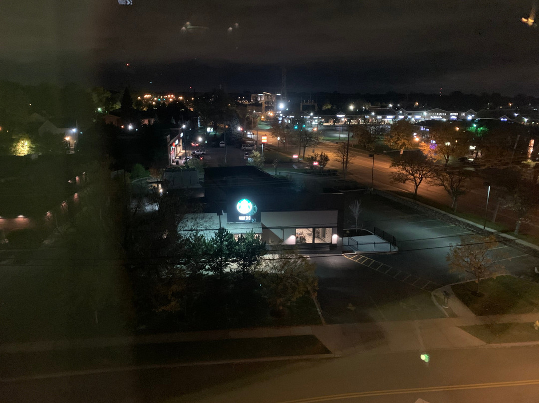 The Mosey Buffalo Williamsville Tapestry Collection Hilton主图