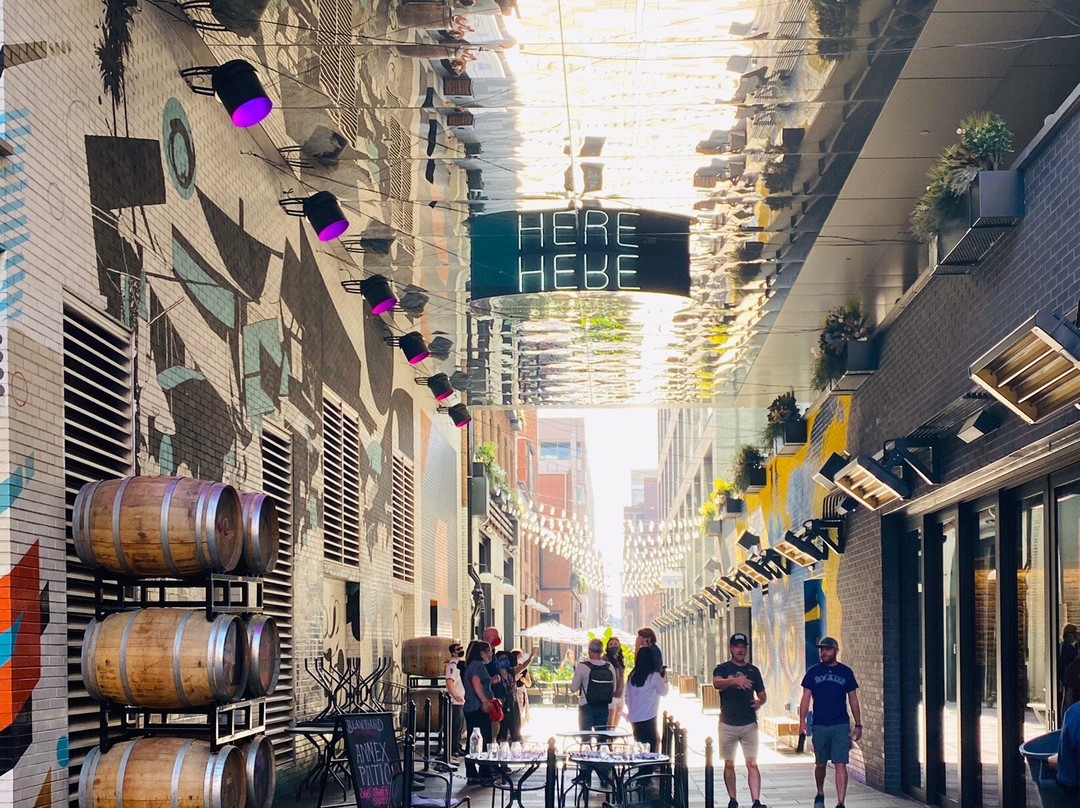 Denver Local Tours-丹佛必去景点