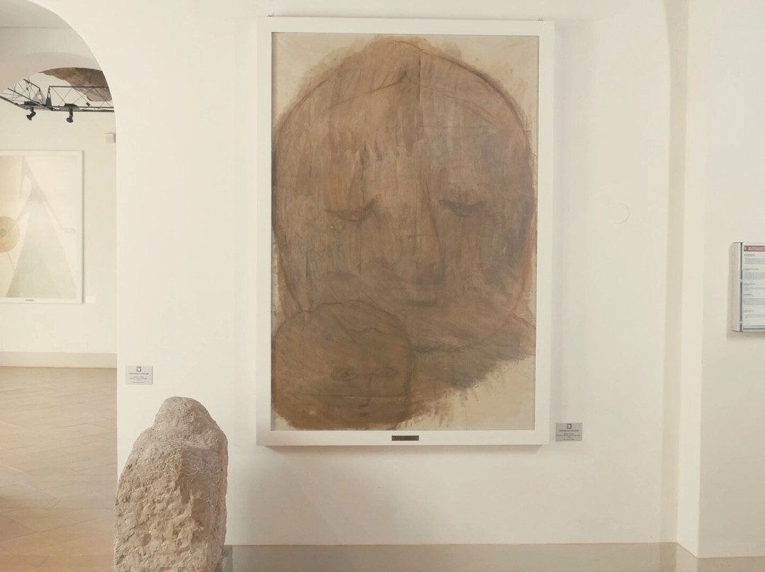 Museo Venturino Venturi景点图片