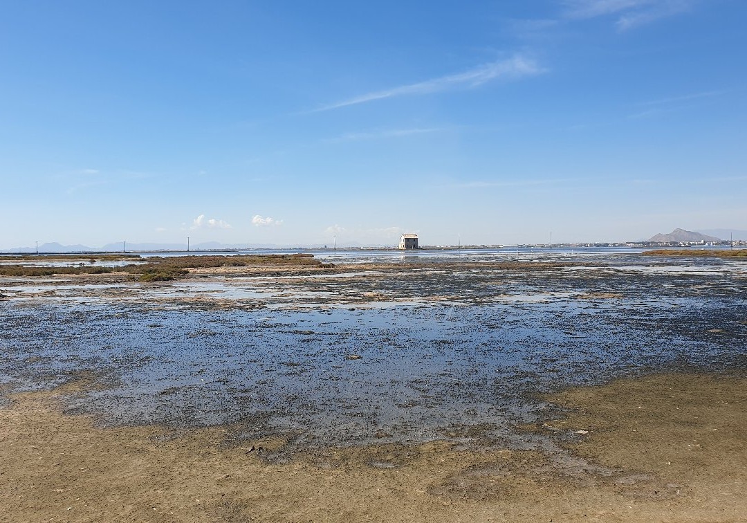 Paraje de Las Salinas