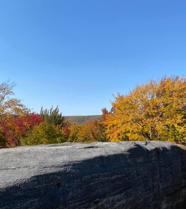 Rock City Park-Olean必去景点