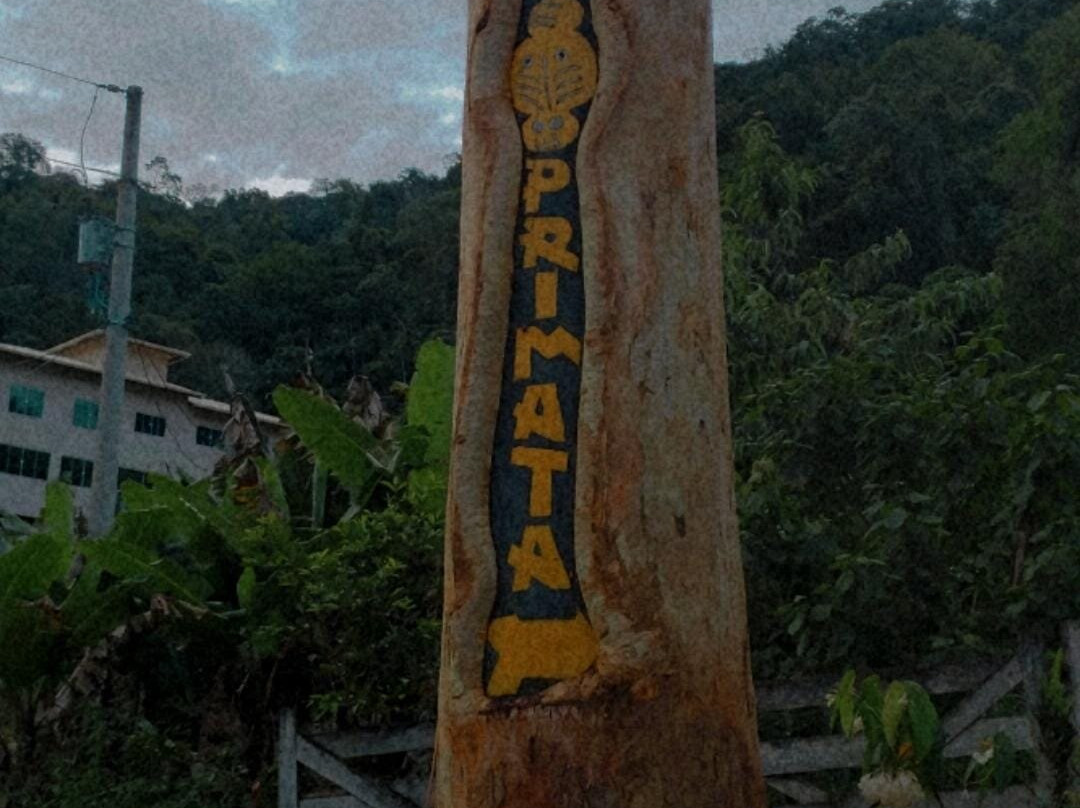 Recanto Primata主图