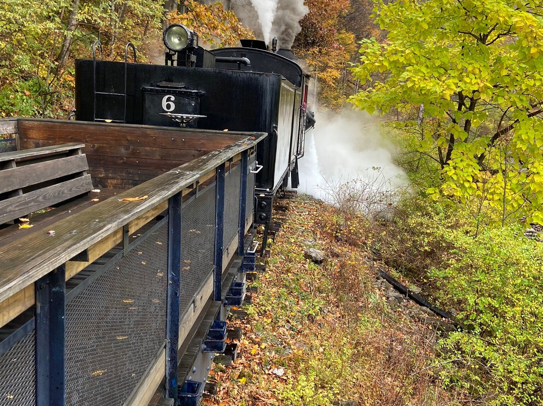 Durbin Greenbrier Valley Railroad景点图片