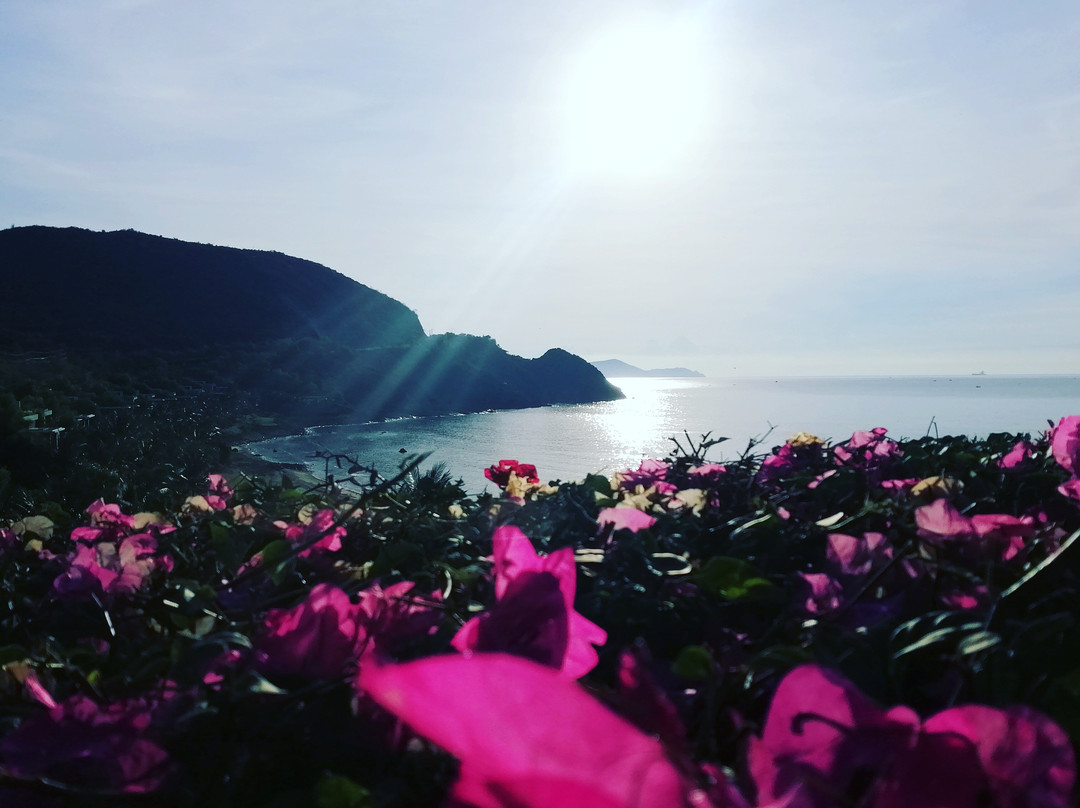 芽庄米娅度假村主图