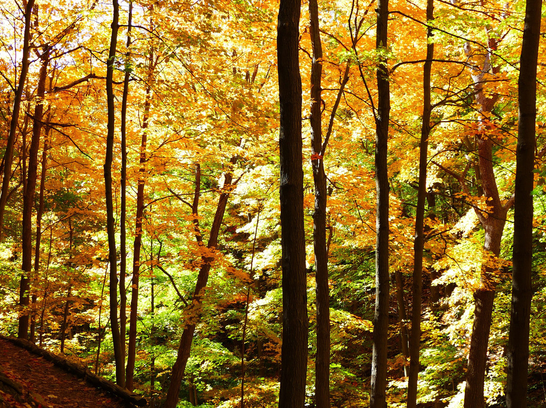 Great Falls-Waterdown必去景点