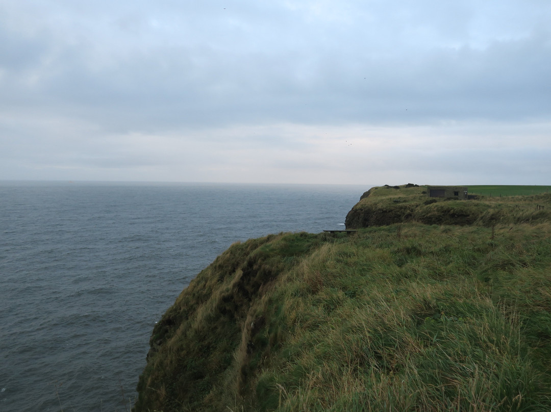 RSPB Fowlsheugh-斯通黑文必去景点