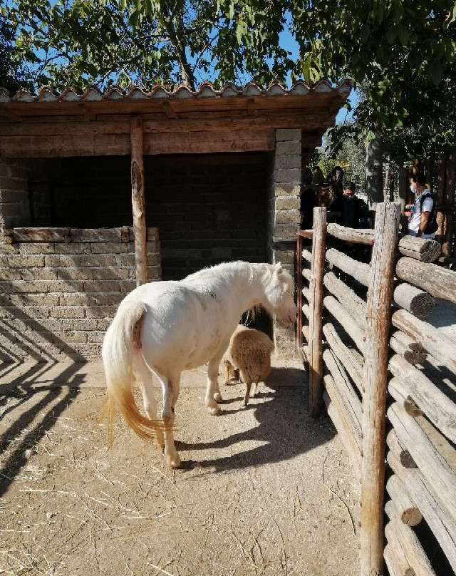 Zoo Delle Maitine景点图片