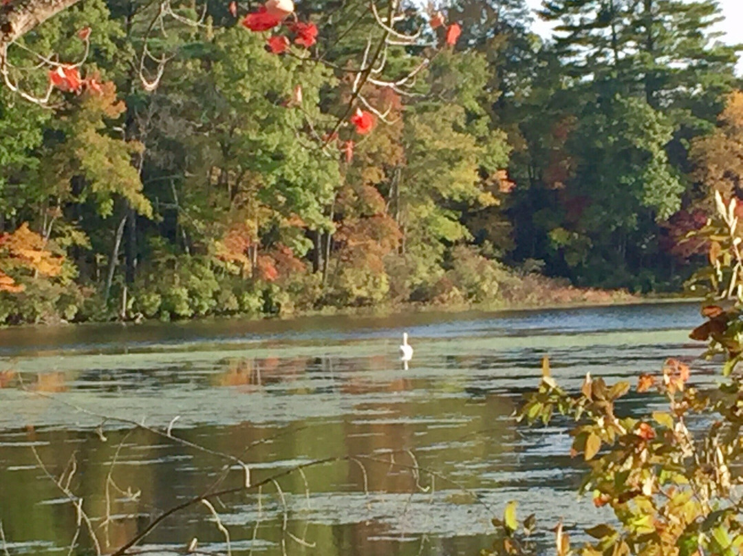 Assabet River National Wildlife Refuge景点图片