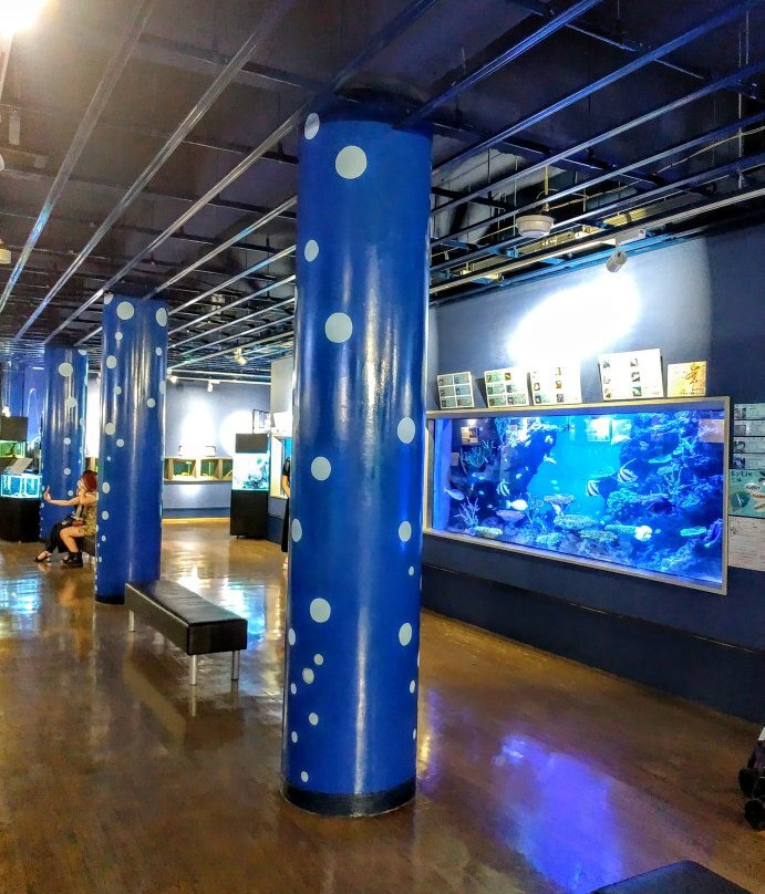 Takeshima Aquerium-蒲郡港必去景点