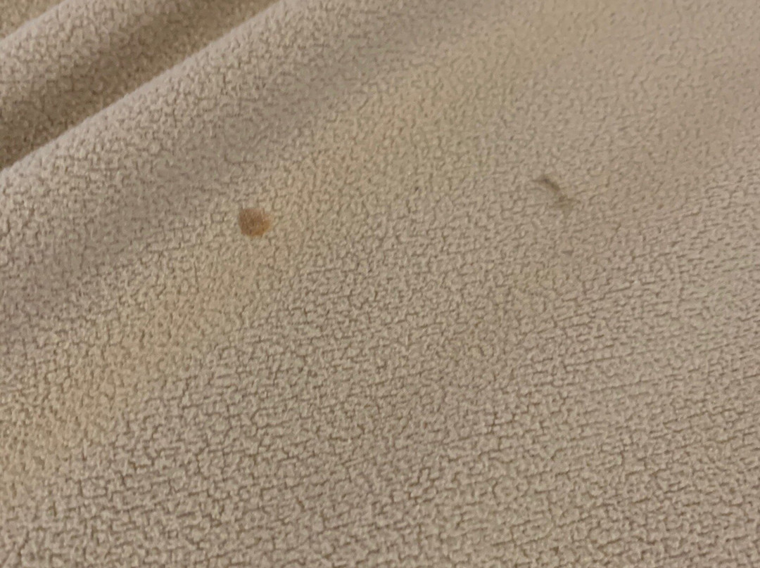 Super 8 by Wyndham Brookville主图