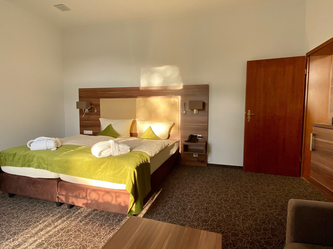 Hotel Villa Elsa主图