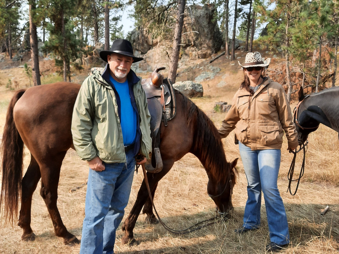 Hollingsworth Horses-卡斯特必去景点