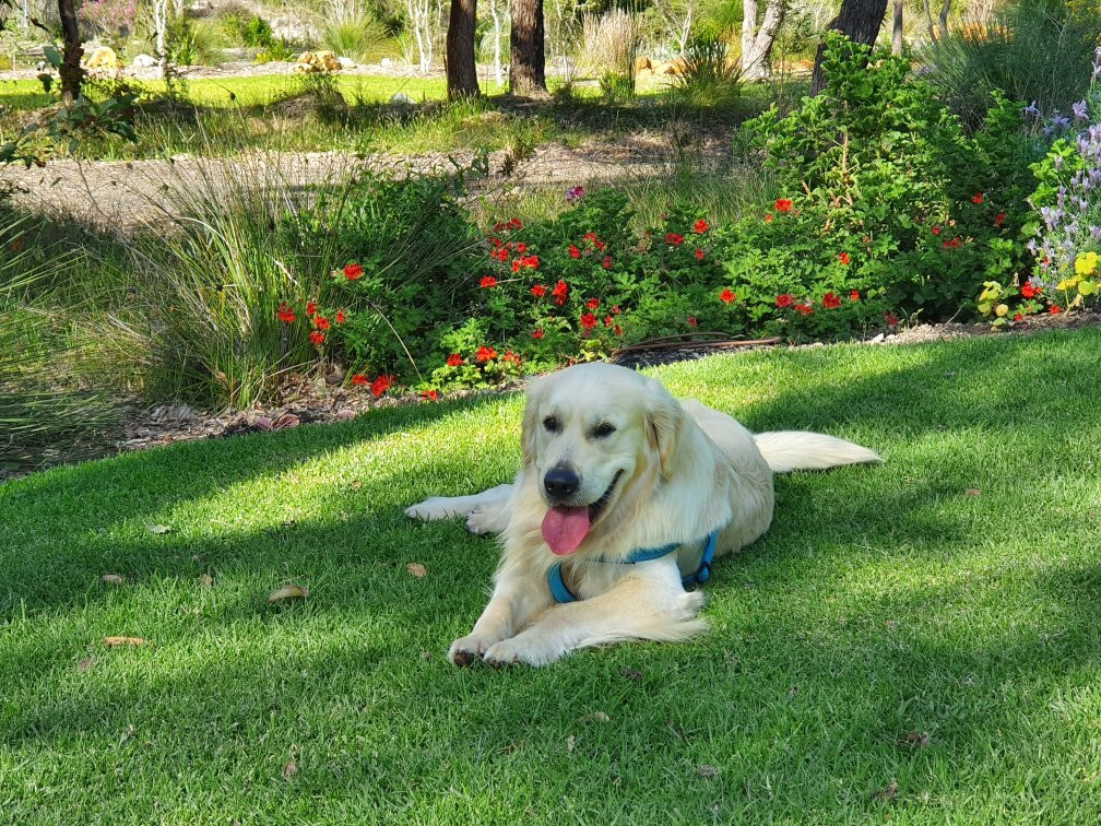 Happs Wines-Quindalup必去景点