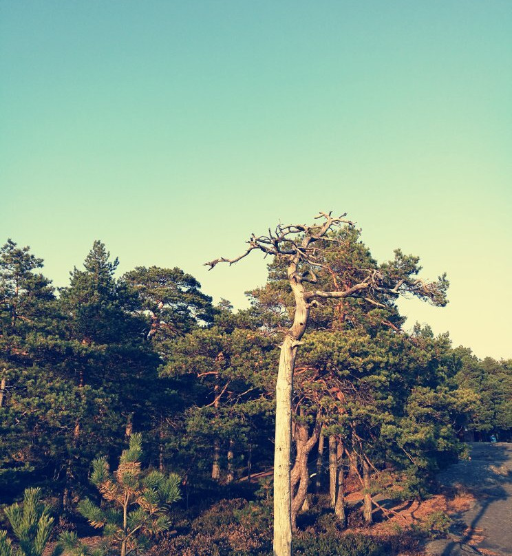 Porkkalanniemi-Kirkkonummi必去景点