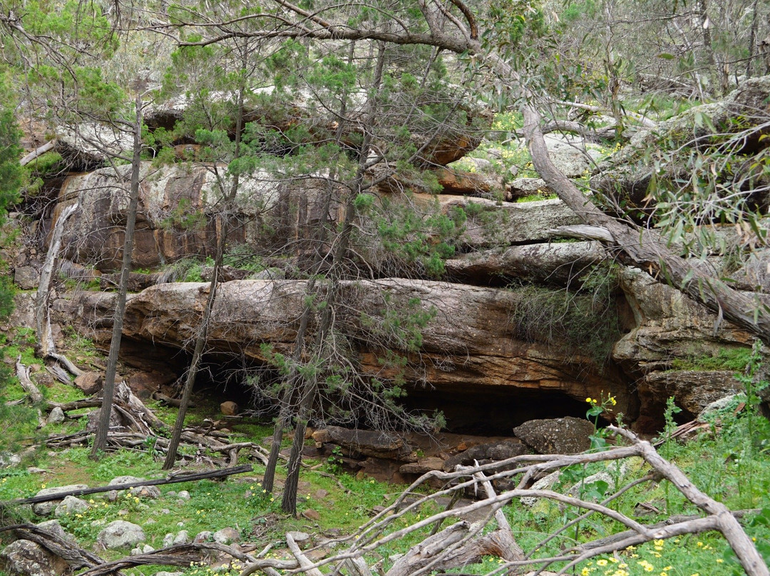 Cocoparra National Park景点图片