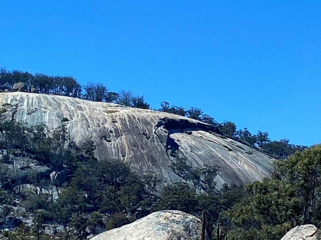 Tenterfield Tours-坦特菲尔德必去景点