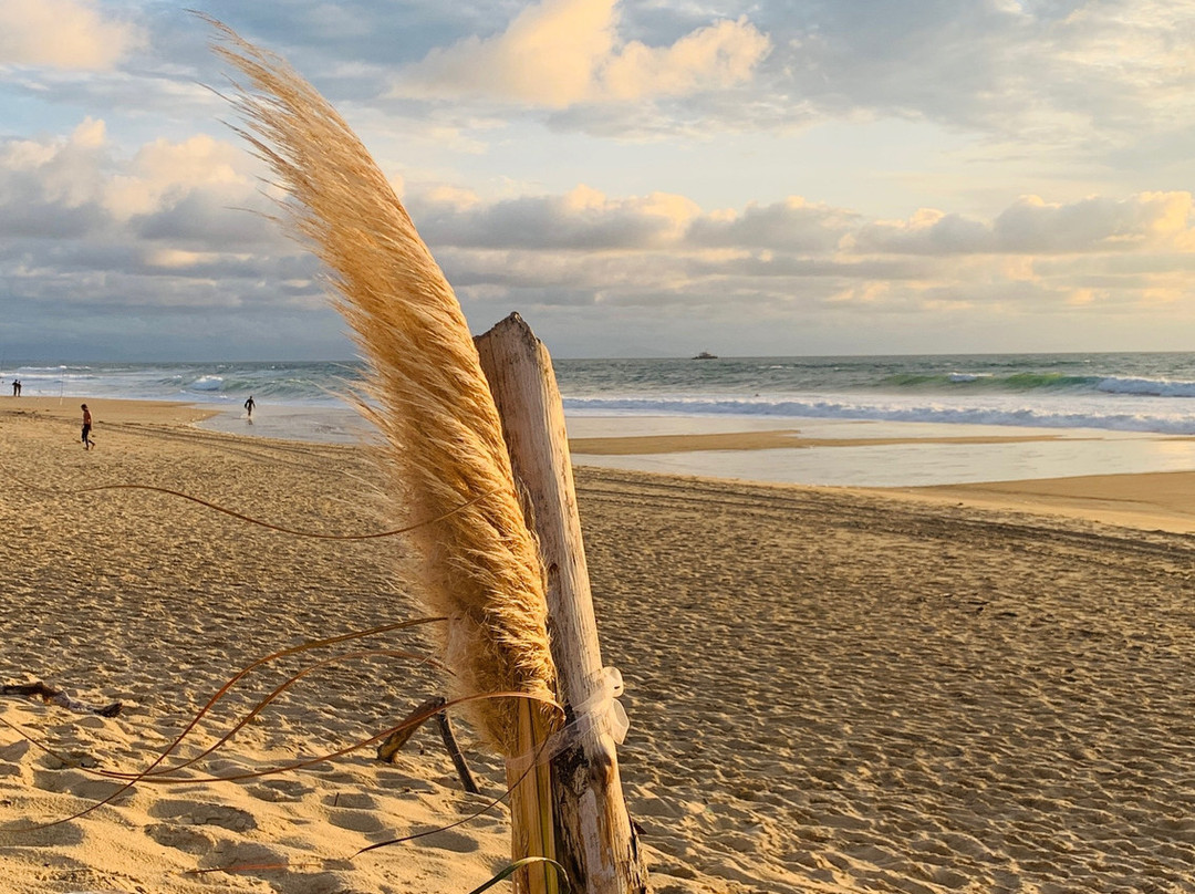 Plage du Penon景点图片