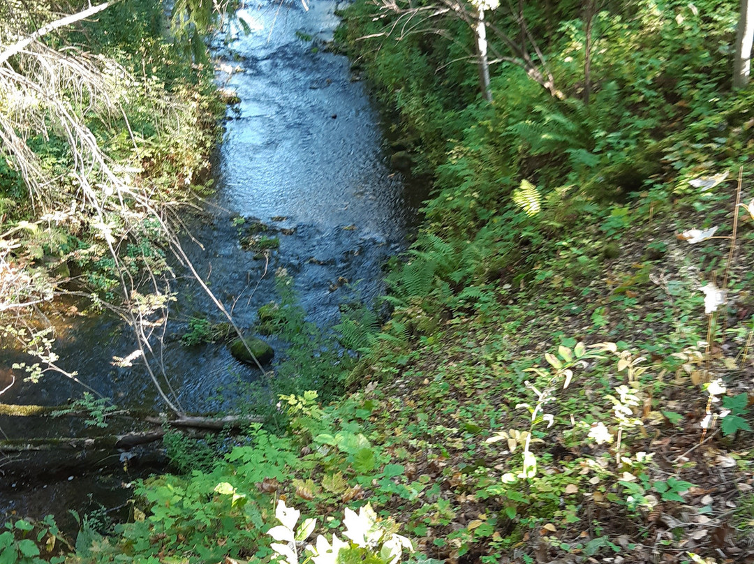 Nature Trail in Keila Joa Park-Keila必去景点