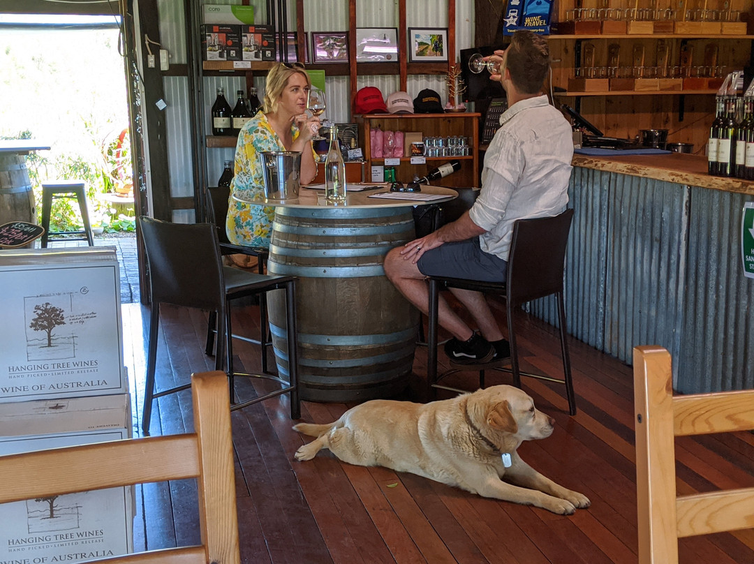 Hunter Valley Boutique Wine Tours景点图片