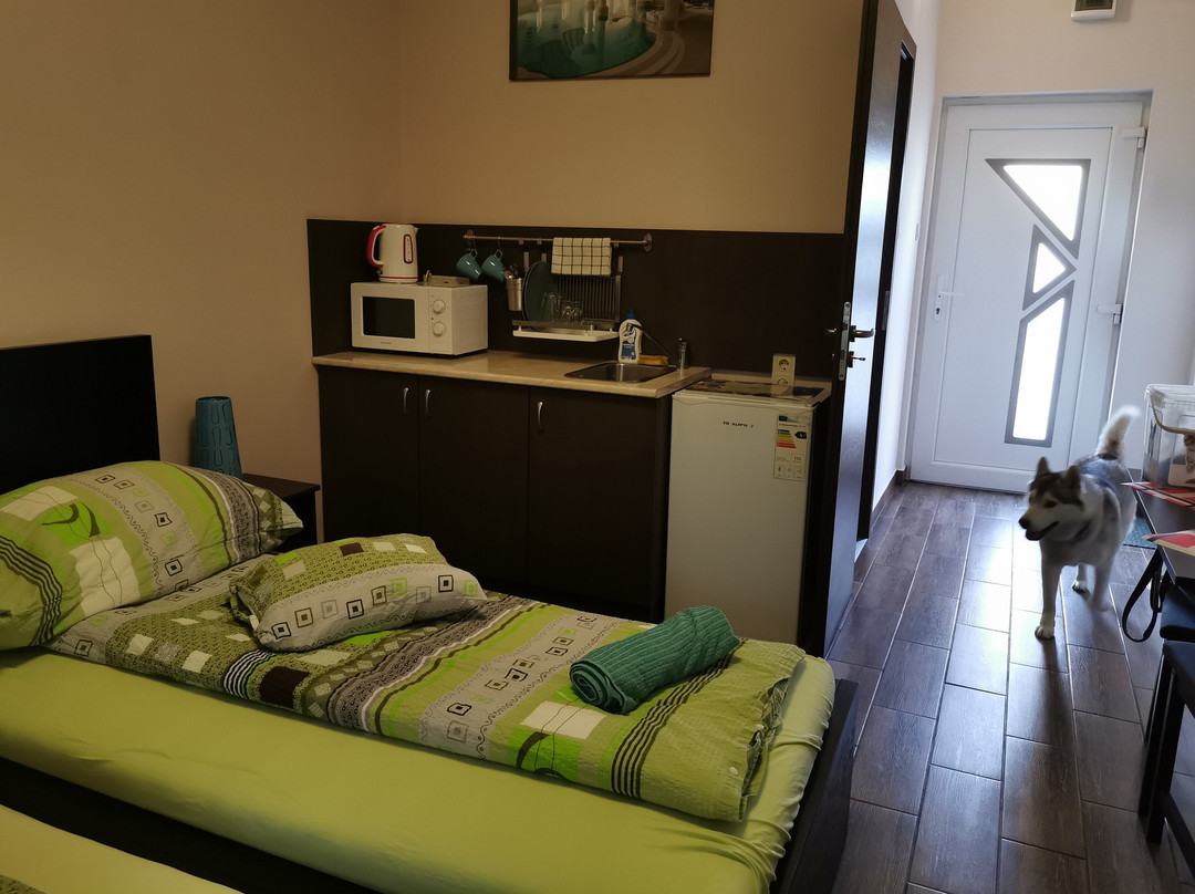 Aranyhíd Guest House主图