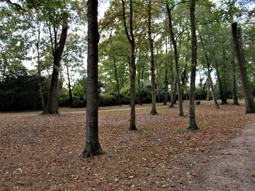 Parc Barrachin景点图片