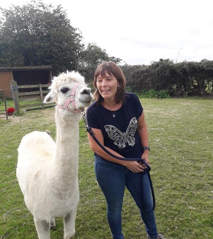 Llandrinio旅游攻略图片