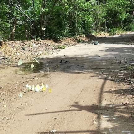 Butterfly Valley-卡巴必去景点