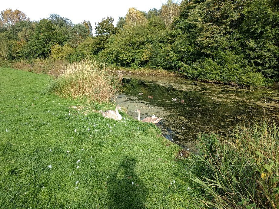 Sankey Valley Park-沃灵顿必去景点