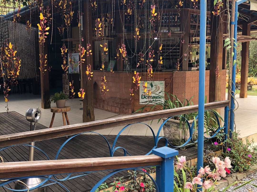 Chez Domaine - Hospedagem Rural Orgânica主图