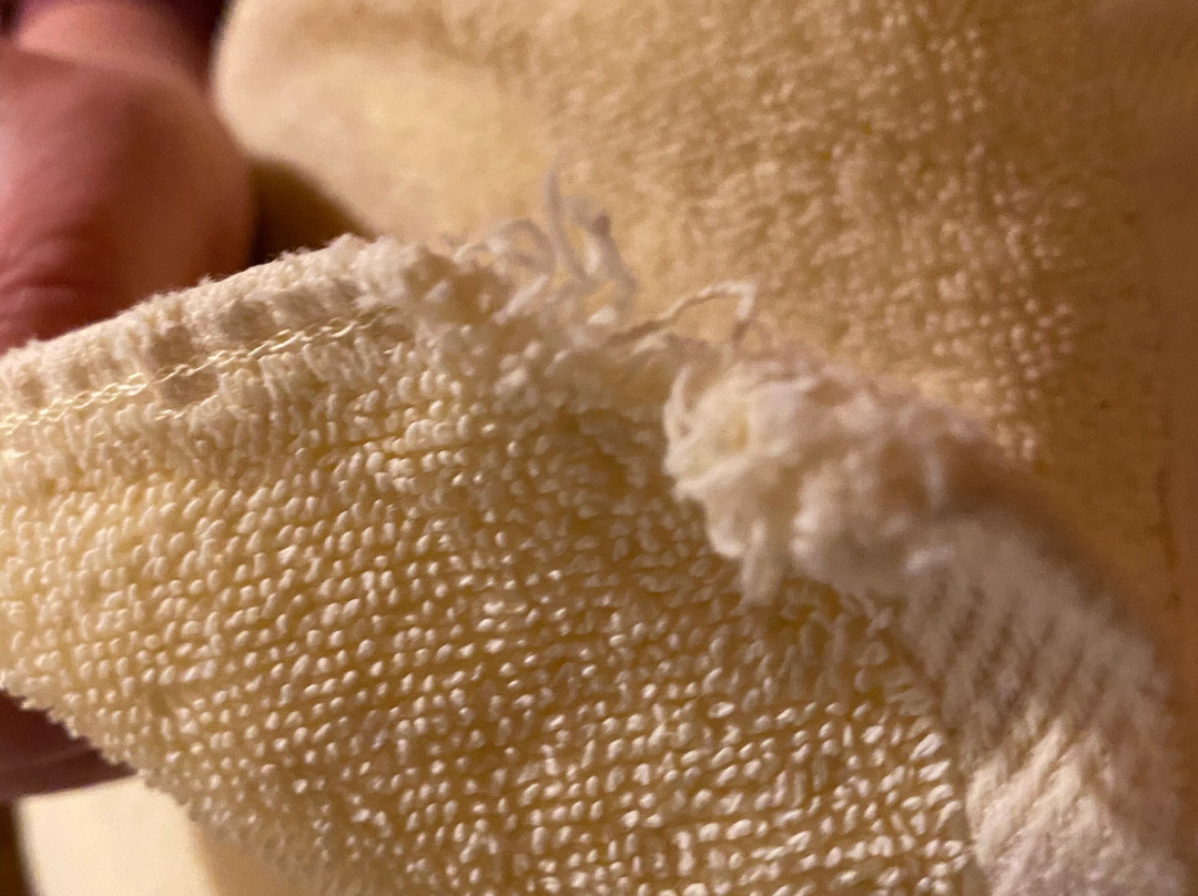 Zur Grunen Kutte主图