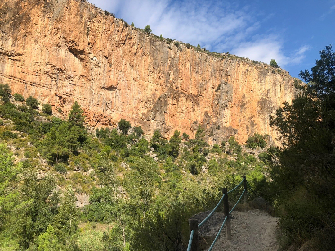 Puentes Colgantes景点图片