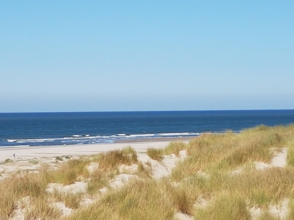 Tuktuk Vlieland-弗利兰岛必去景点