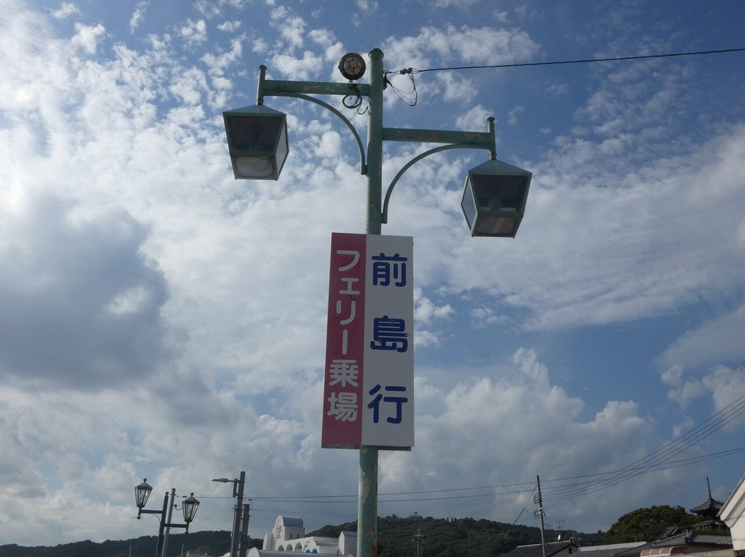 Maejima Ferry景点图片