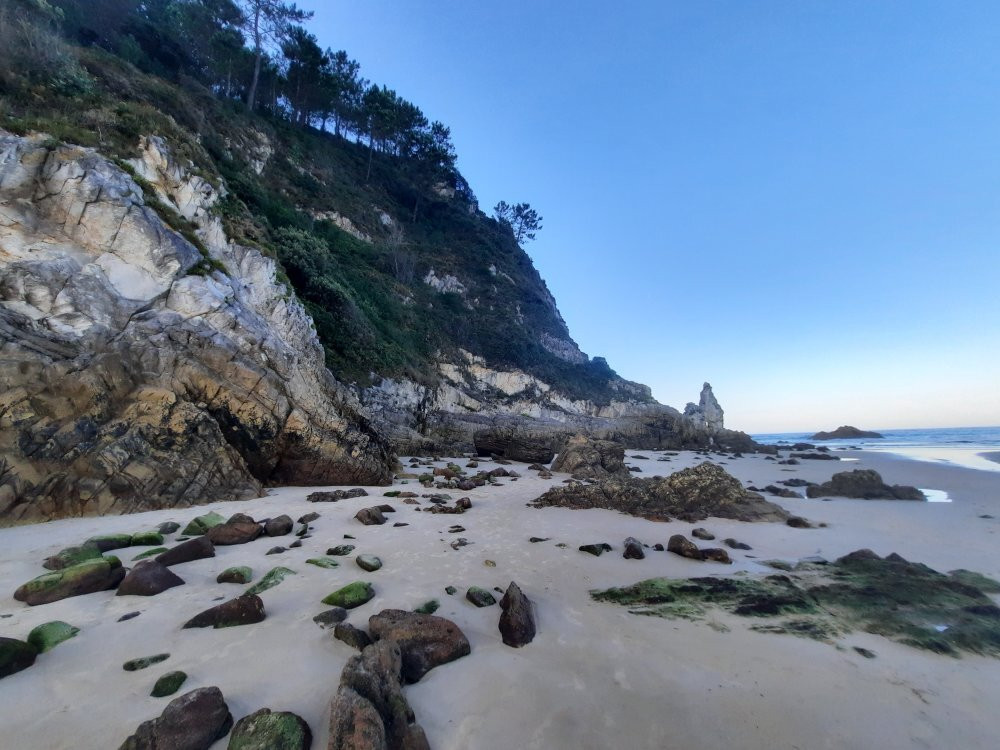 Playa de La Franca景点图片