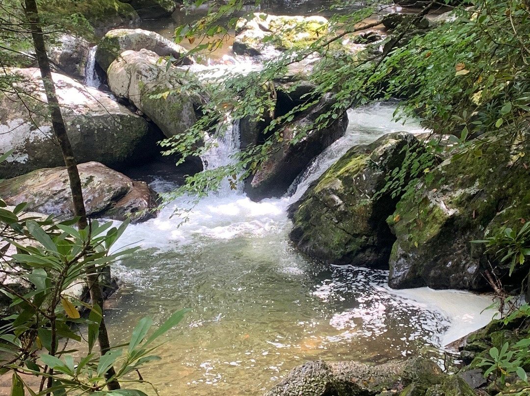 Creeper Trail Bike Rental - Shuttle-Whitetop必去景点