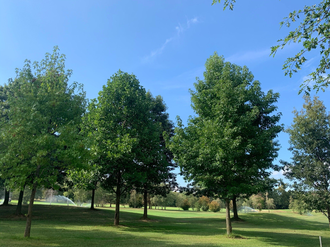 Golf Club Castelconturbia-Agrate Conturbia必去景点