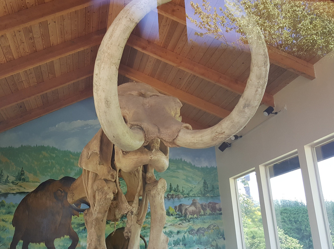 Columbian Mammoth Exhibit景点图片