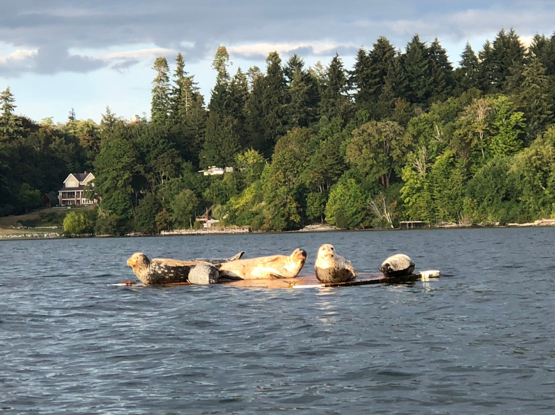 Vashon Adventures-Vashon必去景点