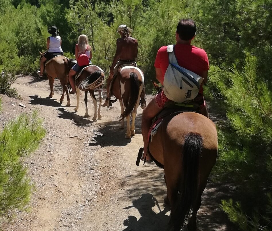 Apaloosa Horse Riding Club景点图片