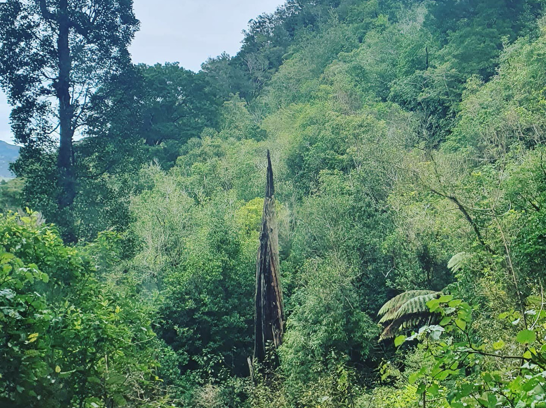 Cable Bay Adventure Park-尼尔森必去景点