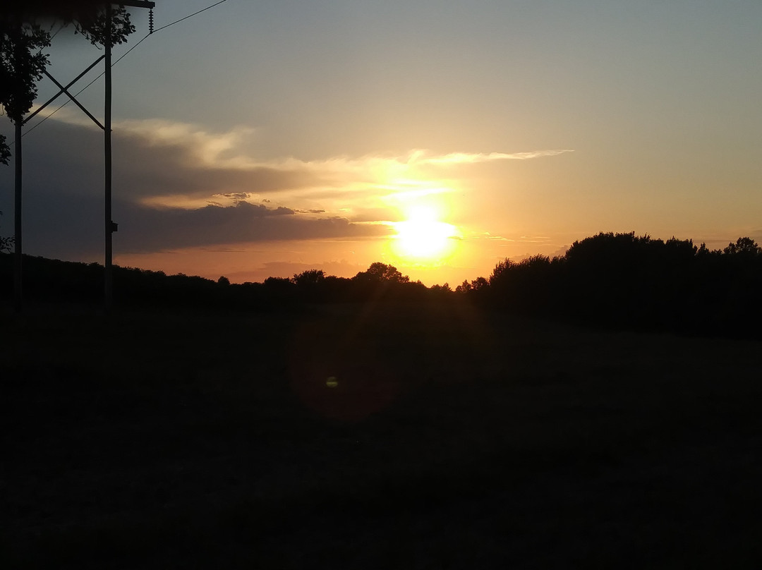 Elm Creek Singletrack Trail景点图片