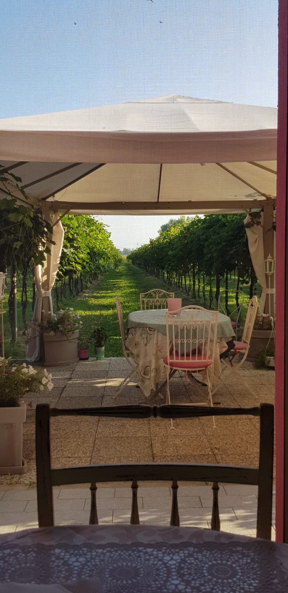 Agriturismo B&B Fondo Gesu-官方