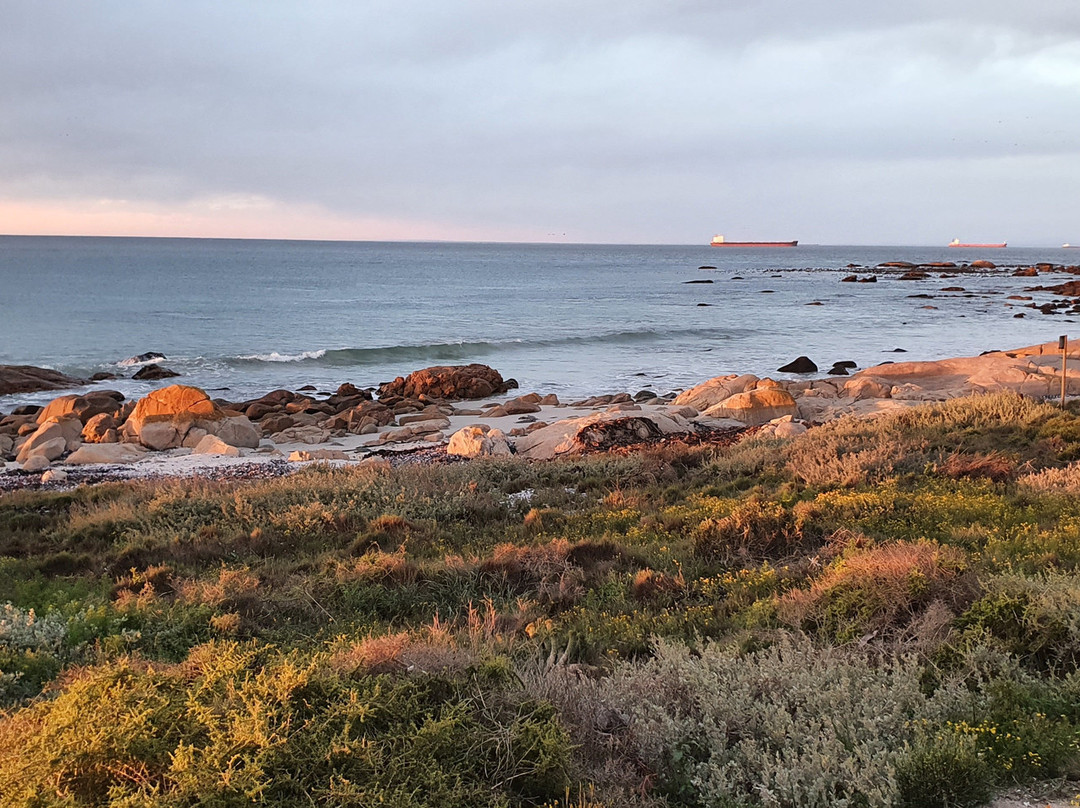 Mussel Cracker主图