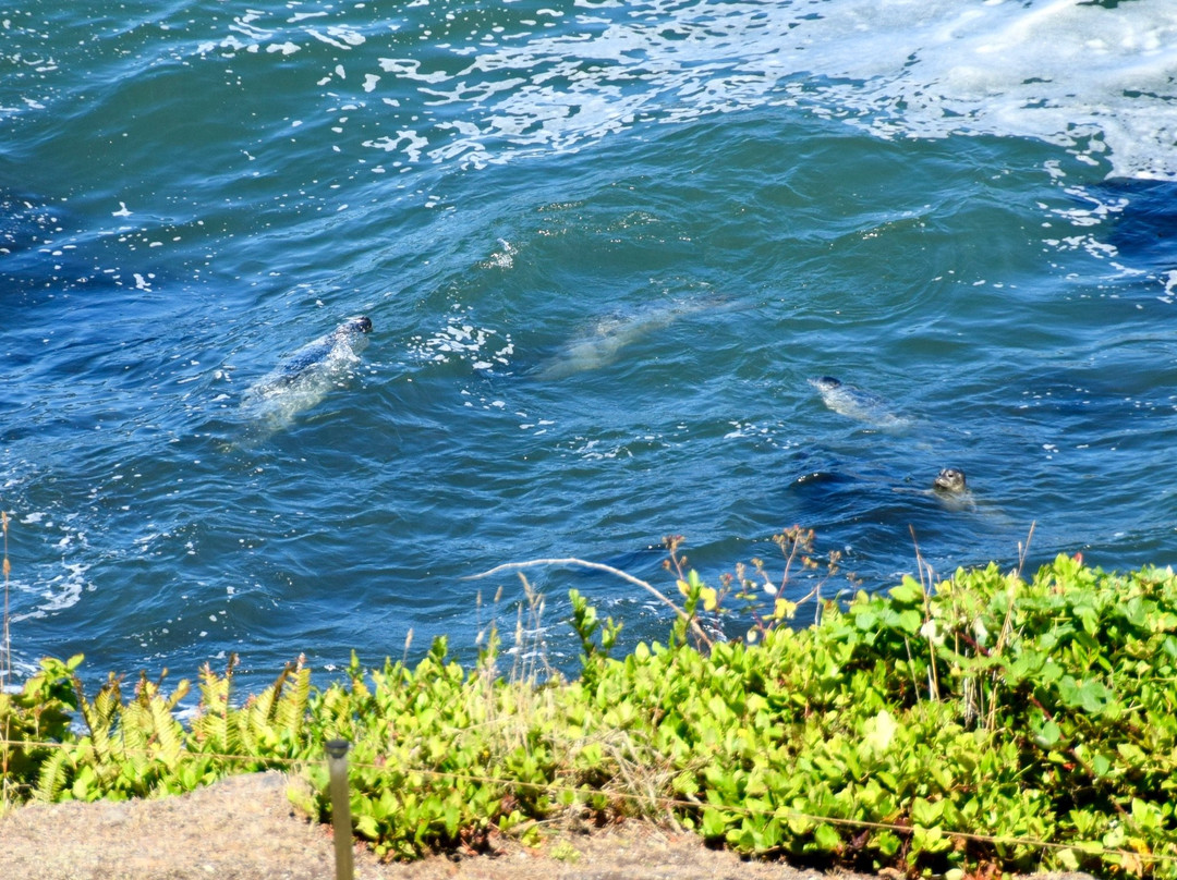 Whale Cove Inn主图