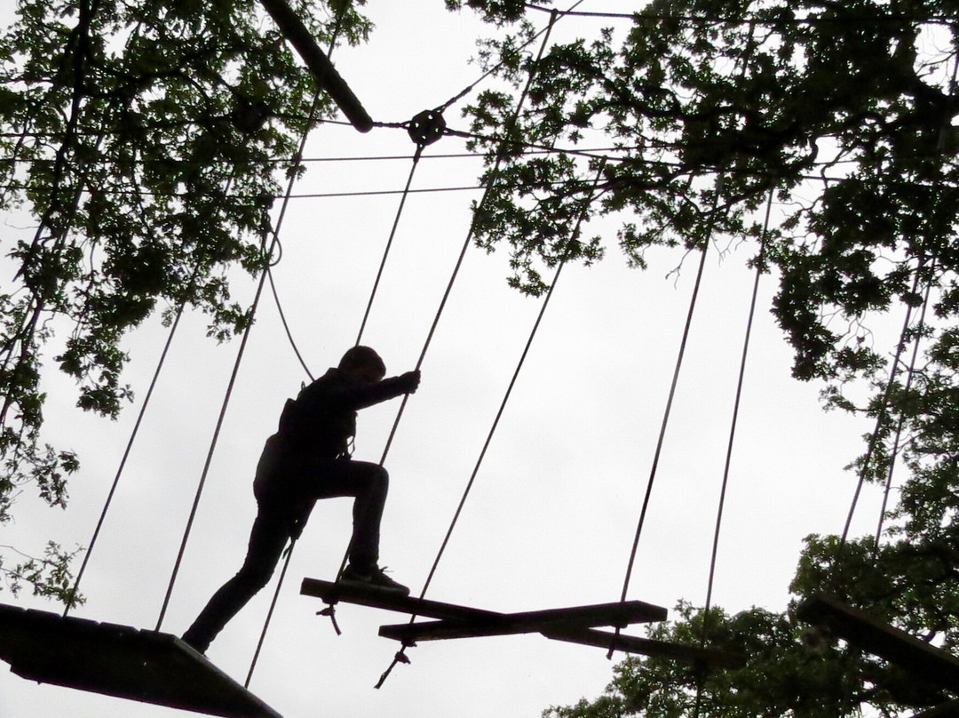Trentham Treetop Adventures-Trentham必去景点