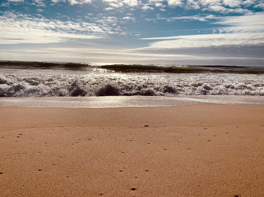 Praia da Tocha景点图片