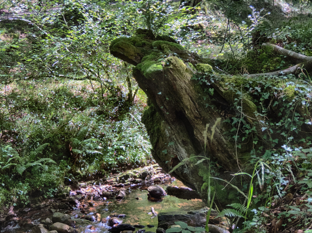 Naturea Cantabria-桑坦德必去景点