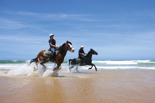 Xperience by Horse-米诺卡必去景点