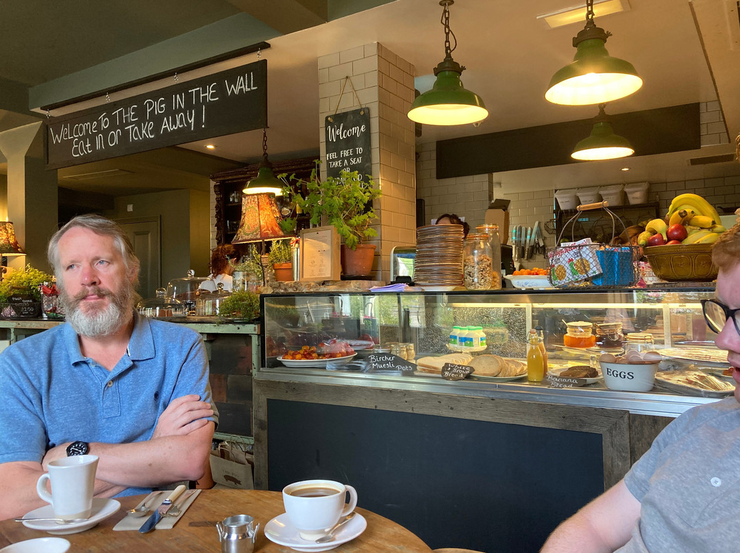 THE PIG-in the Wall主图