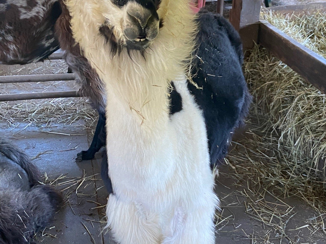 Dakota Ridge Farm, Llc景点图片